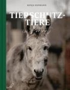 Ronja Erdmann, Ronja Erdmann, Ronja Erdmann - Tierschutztiere im Porträt