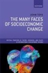 John Toye, John (Chair of the Advisory Committee Toye, Toye John - Many Faces of Socioeconomic Change