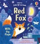 Anna Milbourne, Milbourne Anna, CHRISTINE PYM, Christine Pym, Pym Christine - Little Lift and Look Red Fox