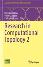 Ellen Gasparovic, Vanessa Robins, Katharine Turner - Research in Computational Topology 2