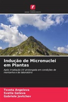 Tsveta Angelova, Svetla Gateva, Gabriele Jovtchev - Indução de Micronuclei em Plantas