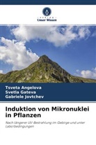 Tsveta Angelova, Svetla Gateva, Gabriele Jovtchev - Induktion von Mikronuklei in Pflanzen