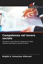 Brigith A. Ormachea Villarroel - Competenza nel lavoro sociale