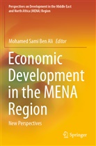 Mohamed Sami Ben Ali, Mohamed Sami Ben Ali - Economic Development in the MENA Region