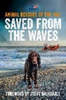 The RNLI - Saved from the Waves