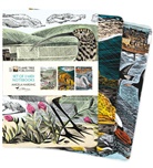 Flame Tree Publishing - Angela Harding: Wildlife Set of 3 Midi Notebooks
