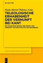 Paula Mariel Órdenes Azúa - Teleologische Erhabenheit der Vernunft bei Kant