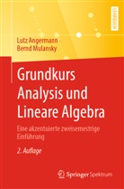 Lutz Angermann, Bernd Mulansky - Grundkurs Analysis und Lineare Algebra