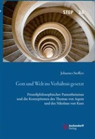 Johannes Stoffers - Gott und Welt ins Verhältnis gesetzt
