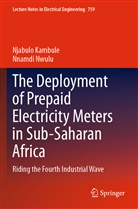 Njabulo Kambule, Nnamdi Nwulu - The Deployment of Prepaid Electricity Meters in Sub-Saharan Africa