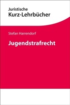 Stefan Harrendorf - Jugendstrafrecht