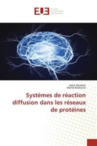 Mehdi Bedioune, Salim Mesbahi - Systèmes de réaction diffusion dans les réseaux de protéines