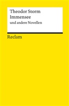 Theodor Storm - Immensee und andere Novellen