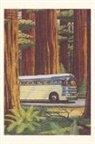 Vintage Journal Bus in Redwoods