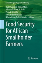 Adornis Dakarai Nciizah, Ndakalimwe Naftal Gabriel, Binganidzo Muchara, Hupenyu Allan Mupambwa, Adornis Dakarai Nciizah, Patrick Nyambo... - Food Security for African Smallholder Farmers