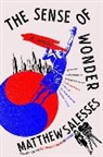 Matthew Salesses, Salesses Matthew - The Sense of Wonder