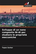 Tapan Sarkar - Sviluppo di un nano composito Ni-Al per studiare le proprietà meccaniche