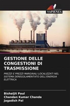 Chandan Kumar Chanda, Jagadish Pal, Bishaljit Paul - GESTIONE DELLE CONGESTIONI DI TRASMISSIONE