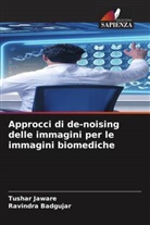 Ravindra Badgujar, Tushar Jaware - Approcci di de-noising delle immagini per le immagini biomediche