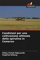 Siegfried Dibong, Gildas Parfait Ndjouondo - Condizioni per una coltivazione ottimale della spirulina in Camerun
