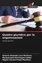 Miguel Cid del Prado Martínez, Melquiceded Domínguez Holán, Octavio Rolando Lara Martinez - Quadro giuridico per le organizzazioni