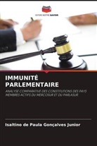 Isaltino de Paula Gonçalves Junior - IMMUNITÉ PARLEMENTAIRE