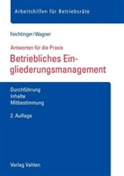 Sabine Feichtinger, Magdalena Wagner - Betriebliches Eingliederungsmanagement