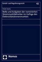Vivien Vacha - Rolle und Aufgaben der nominierten Strommarktbetreiber im Gefüge des Elektrizitätsbinnenmarktes