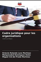 Miguel Cid del Prado Martínez, Melquiceded Domínguez Holán, Octavio Rolando Lara Martinez - Cadre juridique pour les organisations