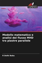 R Delhi Babu, R. Delhi Babu - Modello matematico e analisi del flusso MHD tra piastre parallele