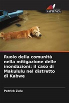 Patrick Zulu - Ruolo della comunità nella mitigazione delle inondazioni: il caso di Makululu nel distretto di Kabwe