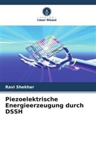 Ravi Shekhar - Piezoelektrische Energieerzeugung durch DSSH