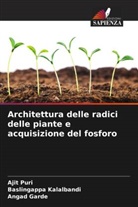 Angad Garde, Baslingappa Kalalbandi, Ajit Puri - Architettura delle radici delle piante e acquisizione del fosforo