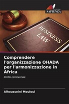 Alhousseini Mouloul - Comprendere l'organizzazione OHADA per l'armonizzazione in Africa