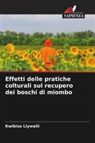 Kwibisa Liywalii - Effetti delle pratiche colturali sul recupero dei boschi di miombo