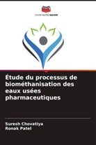 Suresh Chovatiya, Ronak Patel - Étude du processus de biométhanisation des eaux usées pharmaceutiques