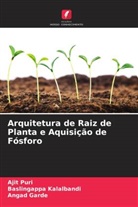 Angad Garde, Baslingappa Kalalbandi, Ajit Puri - Arquitetura de Raiz de Planta e Aquisição de Fósforo