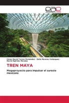 David Sigfrido Morales, Delia Moreno Velázquez, César David Torres Fernández - TREN MAYA