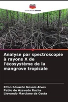Pablo de Azevedo Rocha, Liovando Marciano da Costa, Elton Eduardo Novais Alves - Analyse par spectroscopie à rayons X de l'écosystème de la mangrove tropicale