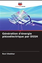 Ravi Shekhar - Génération d'énergie piézoélectrique par DSSH