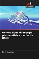 Ravi Shekhar - Generazione di energia piezoelettrica mediante DSSH