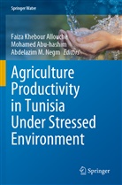 Mohamed Abu-Hashim, Faiza Khebour Allouche, Abdelazim M Negm, Abdelazim M. Negm - Agriculture Productivity in Tunisia Under Stressed Environment