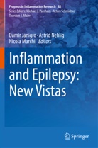 Damir Janigro, Nicola Marchi, Astrid NEHLIG - Inflammation and Epilepsy: New Vistas