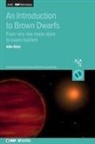 John Gizis, John (University of Delaware (United States)) Gizis - An Introduction to Brown Dwarfs