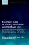 Gabor (Associate Professor Kajtar, Basak (Professor of International Law Cali, Basak Çali, Gabor (Associate Professor Kajtar, Gábor Kajtár, Marko Milanovic... - Secondary Rules of Primary Importance in International Law