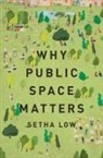 Setha Low, Setha (Distinguished Professor of Anthropolog Low, Setha (Distinguished Professor of Anthropology Low, Low Setha - Why Public Space Matters