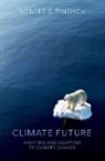 Robert S. Pindyck, Robert S. (Ank of Tokyo-Mitsubishi Profes Pindyck, Robert S. (ank of Tokyo-Mitsubishi Professor of Economics and Finance Pindyck, Robert S. (Bank of Tokyo-Mitsubishi Profe Pindyck - Climate Future