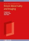 Seifedine Kadry, Seifedine (Professor Kadry, V (Professor Rajinikanth, V. Rajinikanth, David Taniar, David (Professor Taniar - Breast Abnormality and Imaging