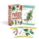 DK, Phonic Books - Our World in Pictures Trees of the World Flash Cards