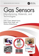 Ankur (Iit Jodhpur Gupta, Ankur Kumar Gupta, Shantanu Bhattacharya, Bhattacharya Shantanu, Ankur Gupta, Gupta Ankur... - Gas Sensors